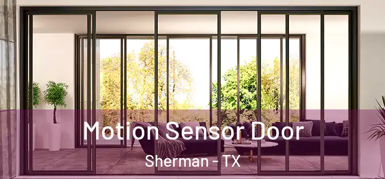  Motion Sensor Door Sherman - TX